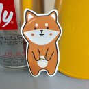 D00115 | 유덤 오메가 겔 "프리미엄 영양제 "