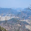 곡성-155 티스토리