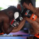 서귀포주짓수,복싱 이미지