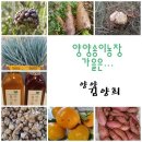 강원도농업기술원 미래농업교육원 이미지