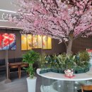 벗꽃스시 이미지