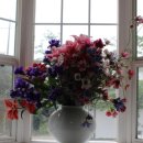 숲속의 산책 이미지