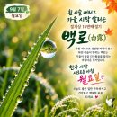9월 7일(월) 오늘은 절기상 '백로' 이미지