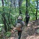 제 1,131회 수요산행(금병산)^^ 이미지