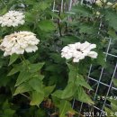 한림정역 이미지