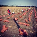 농부심 - 전주시 완산구 서원로 145 | 농부심