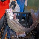 횟집 산이네 이미지