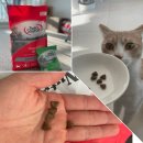 (주)아남실업 | 기호성좋은 저알러지 그레인프리 사료_ 집사들께 [뉴트리소스] 고양이사료추천