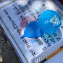 백일홍스테이 | [여자 셋, 고창 여행 4편] 선운사 템플스테이 후기