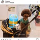 폴리파크(POLYPARK) 이미지