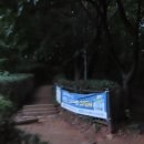 7월의 싱그러운 새벽, 용왕산 스카이워크에서 맞이한 일출 이미지