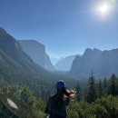 파랑새주유소 | Yosemite National Park 요세미티 국립공원 2일차 (2024.8.18)