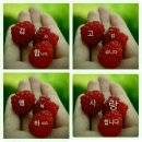 선샘 - 17999 | 선샘