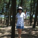덕천해수욕장 Daum카페