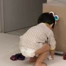 (주)인플랜인터내셔널디자인 | 덴마크 친환경 기저귀 밤보네이처 5단계 팬티형 사용 후기 #기저귀추천 #밤보네이처