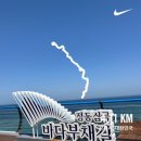 묵호파출소 화장실 | 여자 혼자 강원도 강릉 정동진 1박2일 기차 여행 : 누리로 바다기차, 정동진역, 정동진 해변, 이스트...
