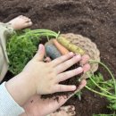 노랑통닭 평택고덕점 | 평택 아이랑 실내 가볼만한곳 고마워토토 고덕키즈카페 후기