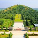 천도장묘 이미지