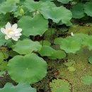 웅석봉로 이미지