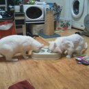 봉자빨래 이미지