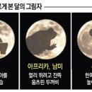 달나라 토끼 이미지