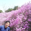 강화농장 이미지