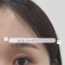 진성약국 | 가볍고 편한 속눈썹 울산동구속눈썹연장 무드미