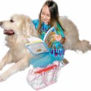 도그소사이어티 이미지