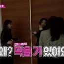 복이네애견 이미지