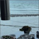 바다와돼지 - 광산구 목련로 202 | 바다와돼지