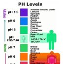 산성식품 이미지