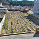 근덕보건지소 이미지