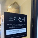 낭만의거리 | 여수 조개구이 맛집 청춘조개여수 낭만포차거리 내돈내산 솔직후기