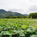 김종수농장 이미지