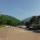인태목장 Daum카페