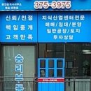 고양시 일산동구 상가 건물 매매 16억 이미지