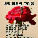 별일 없음의 고마움 이미지