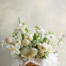 회원동224 이미지