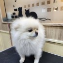 (주) 호텔수성 이미지