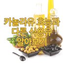 카놀라유 효능과 다른 식용유 알아보기 이미지