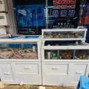 남경 산꼼장어 네이버블로그