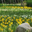 바다향기로 이미지