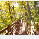 선비 코스 이미지