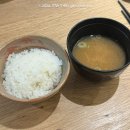 평범 | 안국역 맛집 일월카츠 평일 웨이팅 의외로 평범했던 내돈내산 후기
