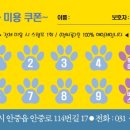 멍쌀롱 이미지
