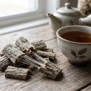 동의보감해독한의원 | 두충(杜仲) 효능 — 허리디스크·관절 통증에 좋은 이유