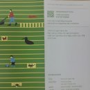 캠핑494 | 오늘의 기쁨 후기