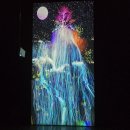 선샤인 반려견 유치원 | 선샤인 밀양 테마파크-다녀온 후기