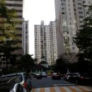 사파동246 이미지