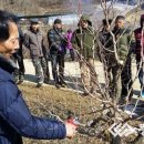 주현주농장 네이버블로그